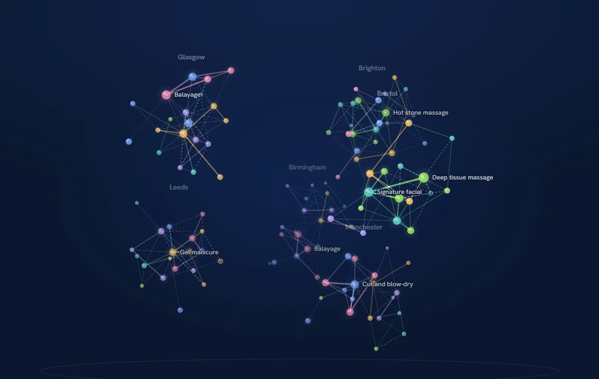 A 3D network map of sample services clustered by location, with lines joining services booked in the same appointment